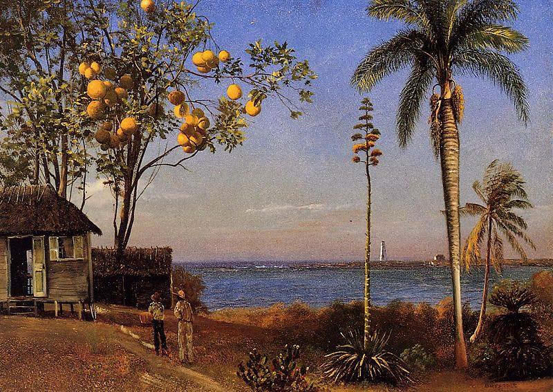 Albert Bierstadt A View in the Bahamas oil painting picture